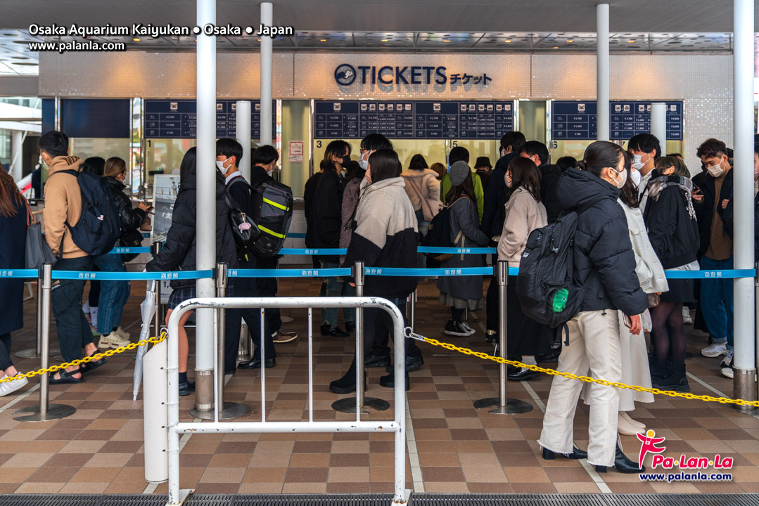 Osaka Aquarium Kaiyukan